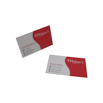 Customized Colorful Business Cards with Low Price